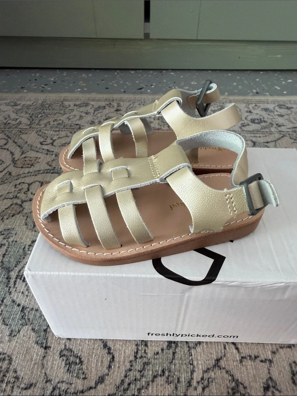 Freshly Picked Bixby II Sandals in Platinum Silver